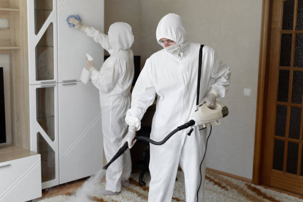 Best Attic Mold Removal  in South Venice, FL
